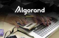 Algorand区块链首个Insurtech用例；应对$ 40B的机会