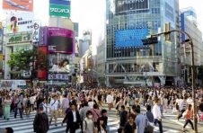 卡布指标继续下跌，5月FX下跌